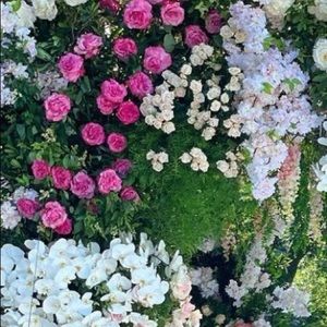 Meet your Posher, Sandra